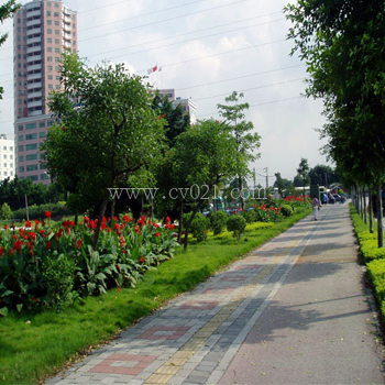 小区道路绿带景观工程